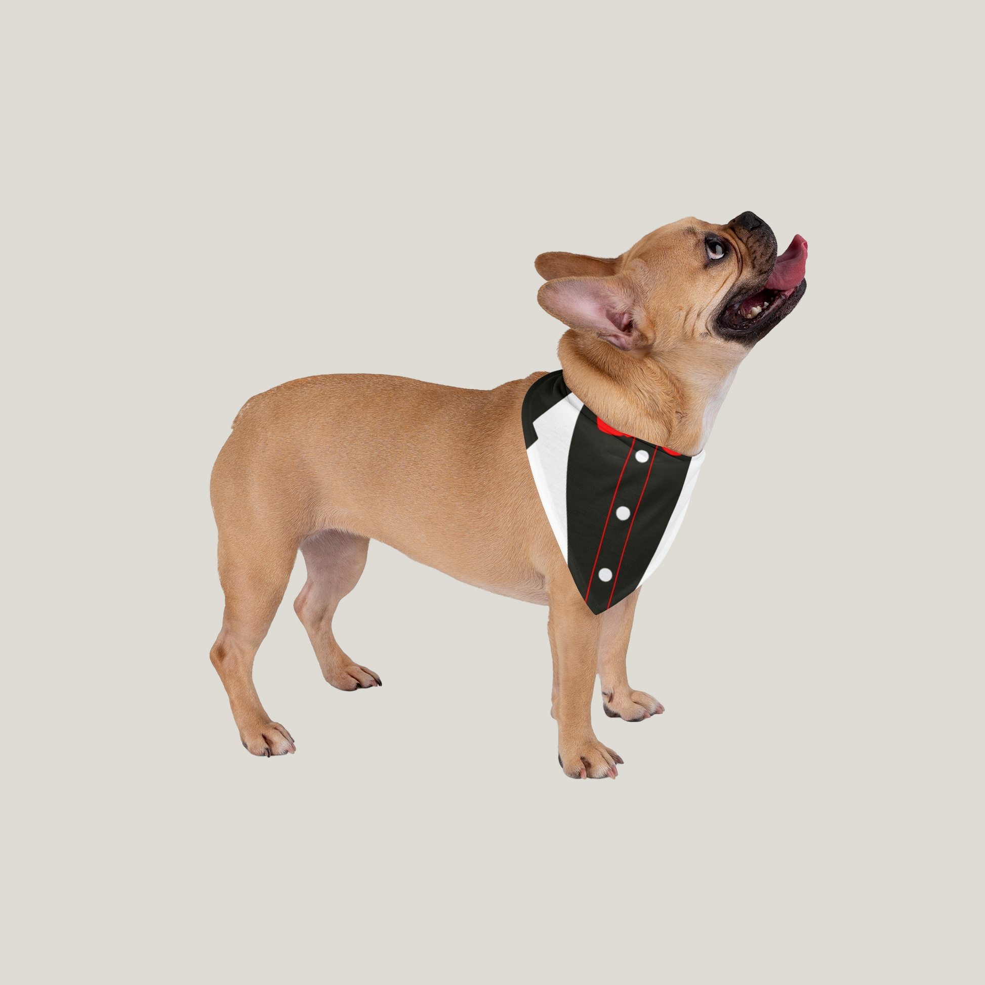 Tuxedo Dog Bandana